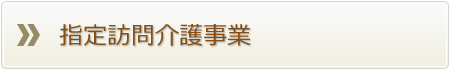 指定訪問介護事業